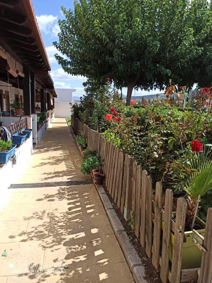 Casa Rural Alamillo 卢克 外观 照片