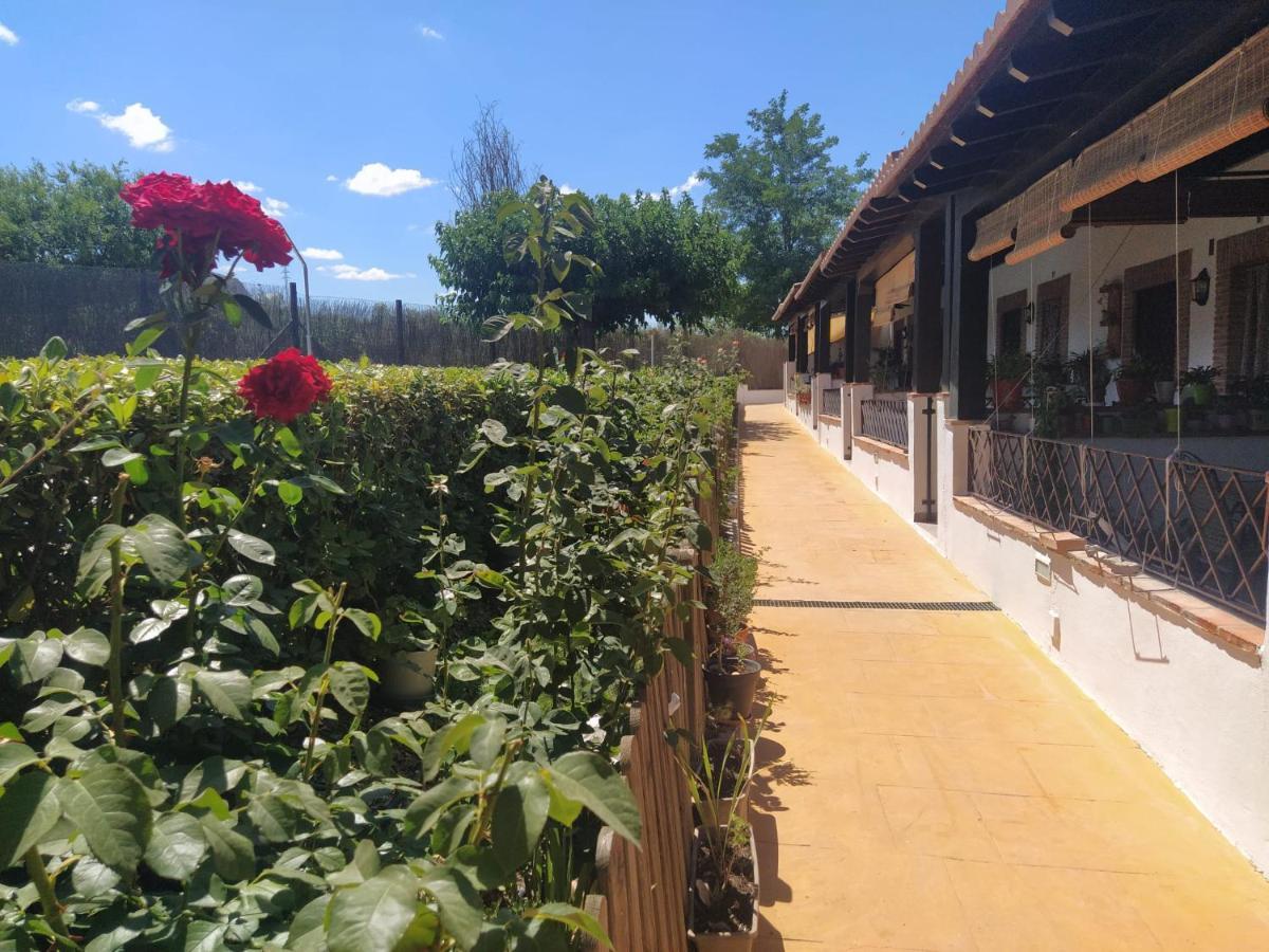 Casa Rural Alamillo 卢克 外观 照片